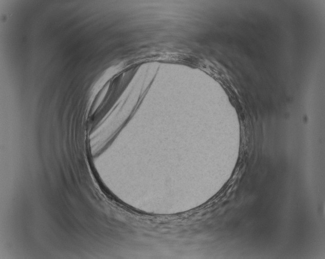 X0000062170003200601061053