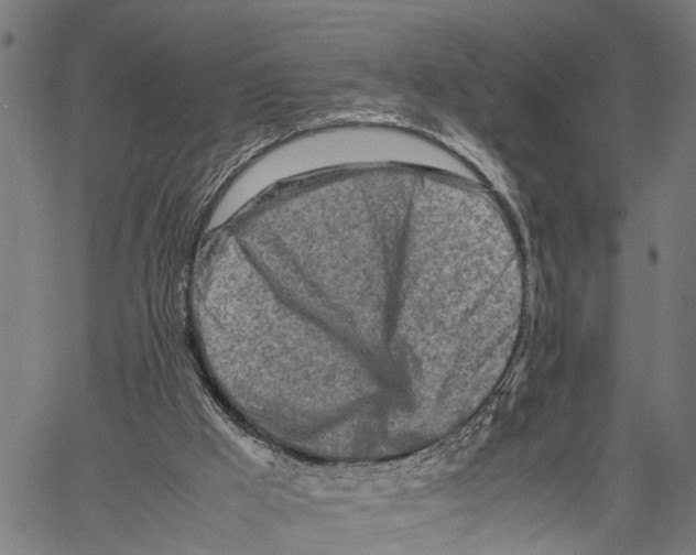 X0000062170009200601061052