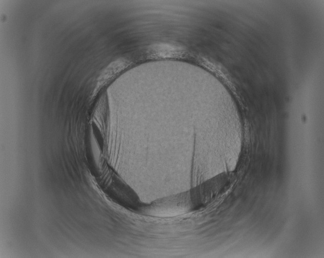 X0000062170010200601061052