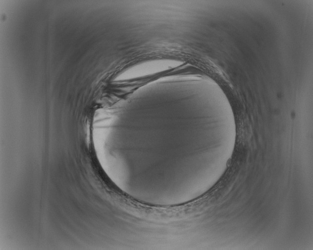 X0000062170027200601061052