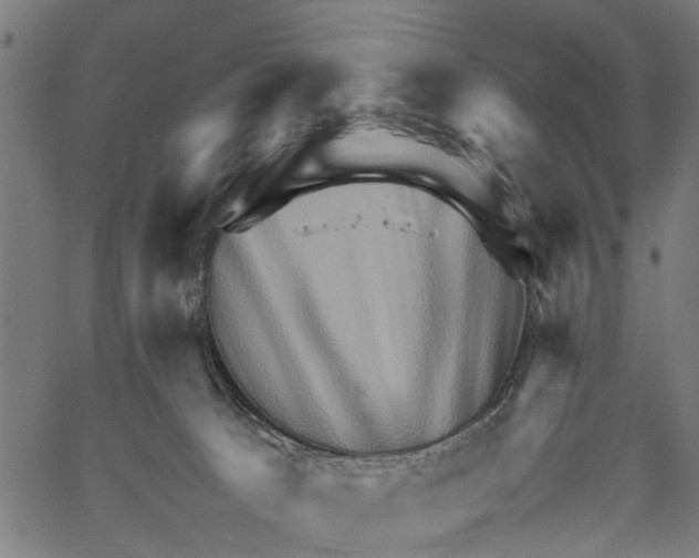 X0000062170033200601061052