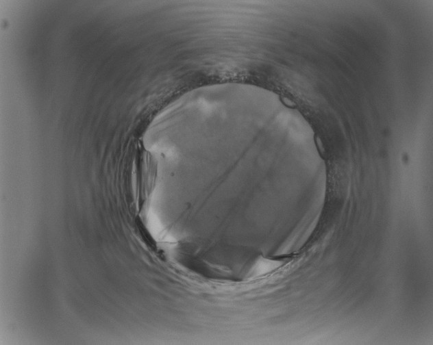 X0000062170039200601061052