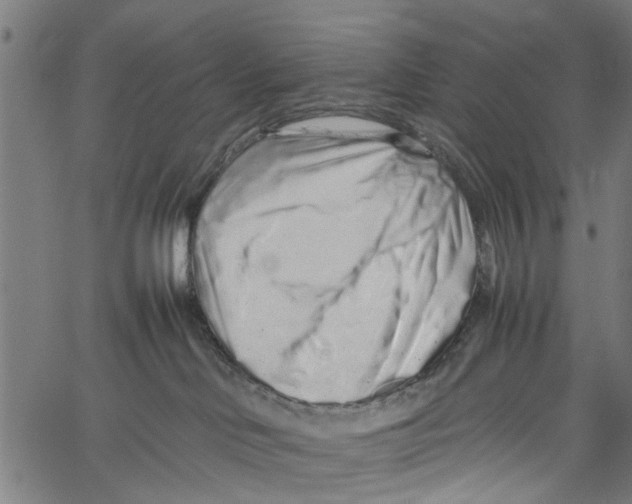 X0000062170046200601061052