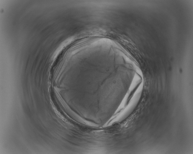 X0000062170054200601061051