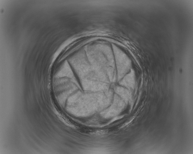 X0000062170056200601061051
