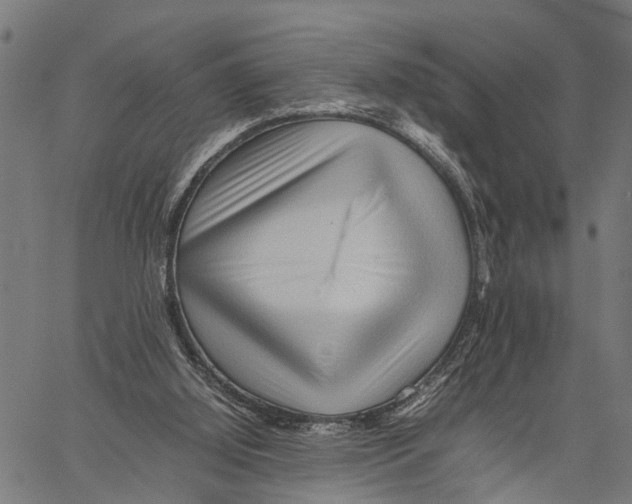 X0000062170060200601061051