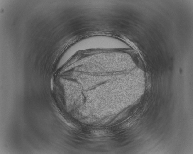 X0000062170061200601061051