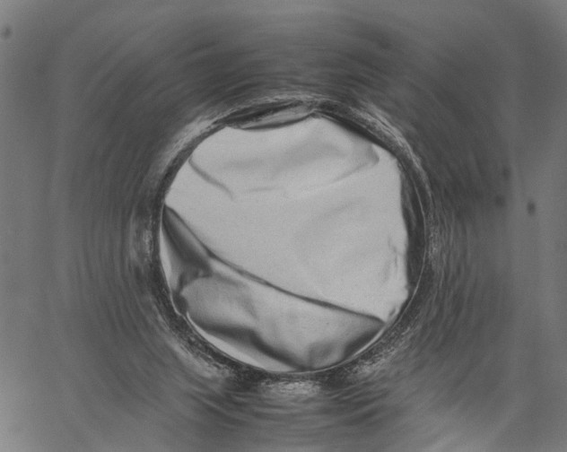 X0000062170063200601061051