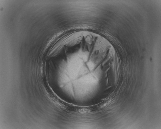 X0000062170064200601061051