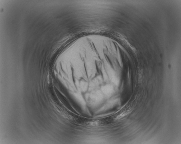 X0000062170068200601061051