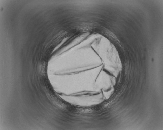X0000062170073200601061051
