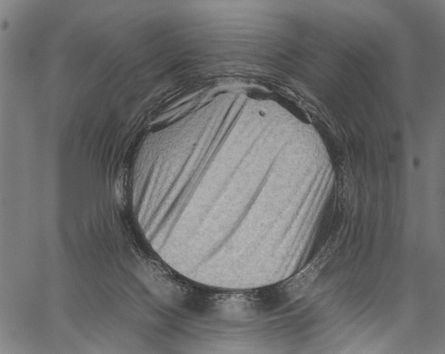 X0000062170074200601061051