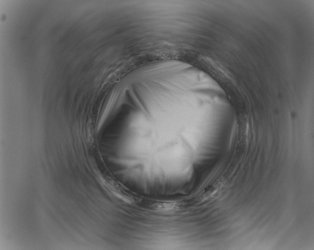 X0000062170088200601061052