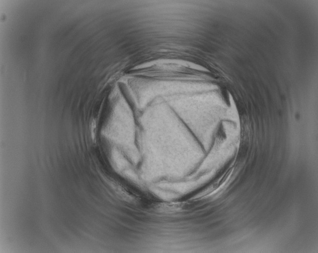 X0000062170094200601061052