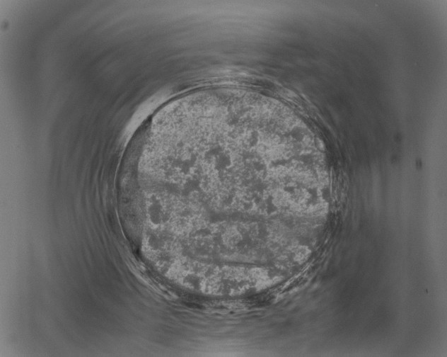X0000062170099200601061051