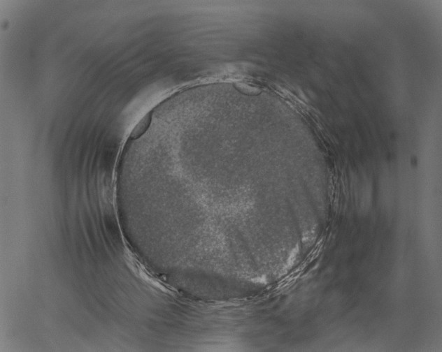 X0000062170100200601061051