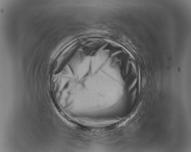 X0000062170101200601061051