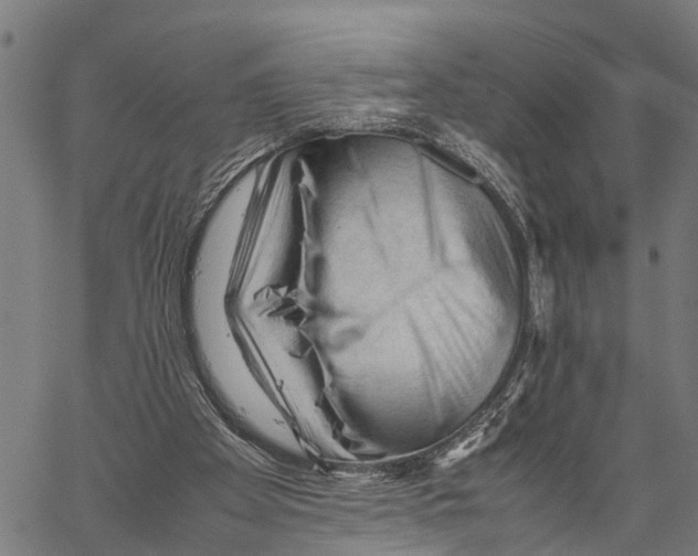 X0000062170105200601061051