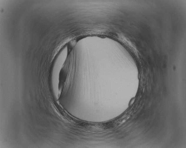 X0000062170107200601061051
