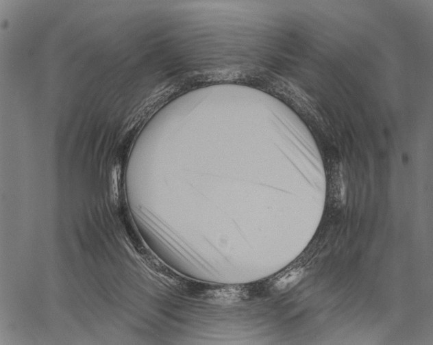 X0000062170118200601061051