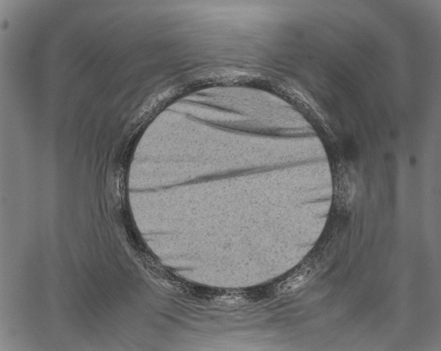X0000062170119200601061051