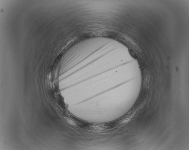 X0000062170121200601061051