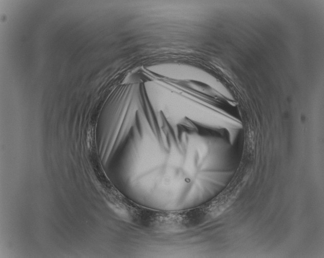 X0000062170125200601061051