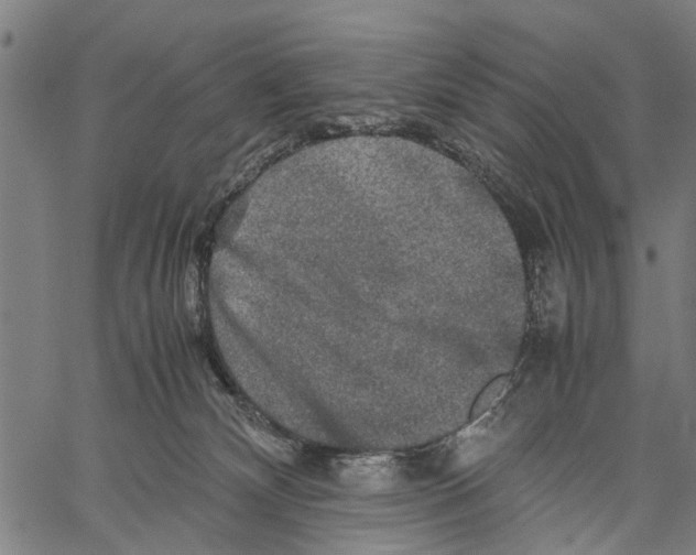 X0000062170132200601061050