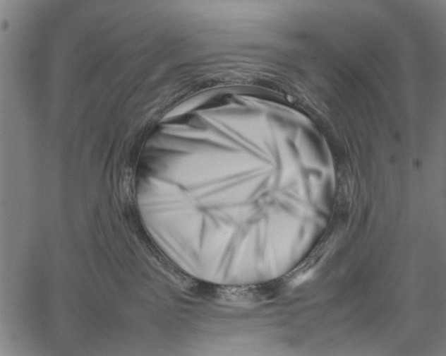 X0000062170141200601061050