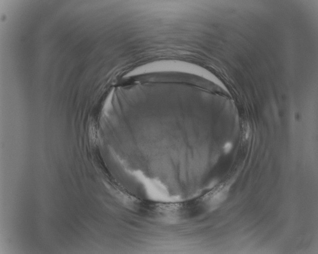 X0000062170143200601061050