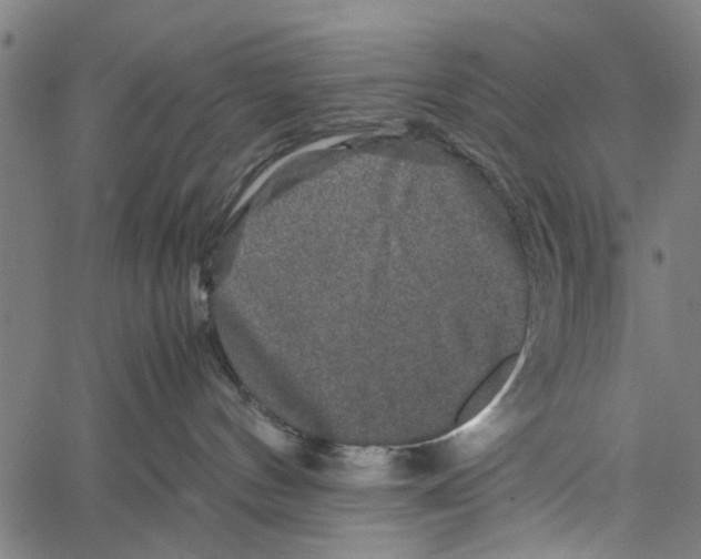 X0000062170144200601061050