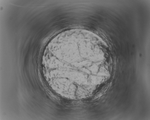 X0000062170145200601061049