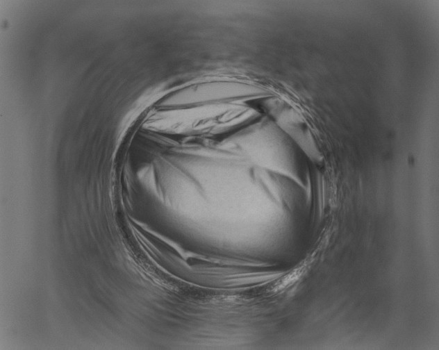 X0000062170152200601061050