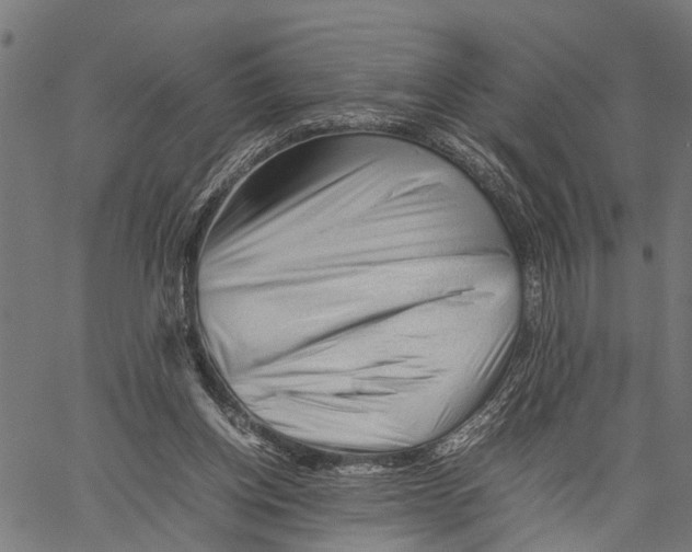 X0000062170158200601061050