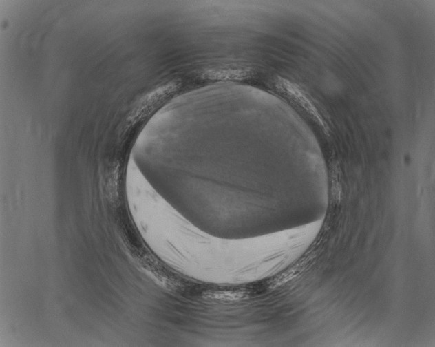 X0000062170163200601061050