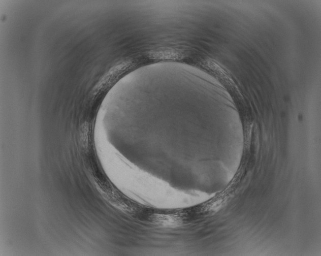 X0000062170167200601061050