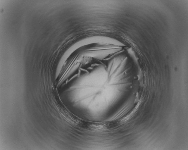 X0000062170170200601061050