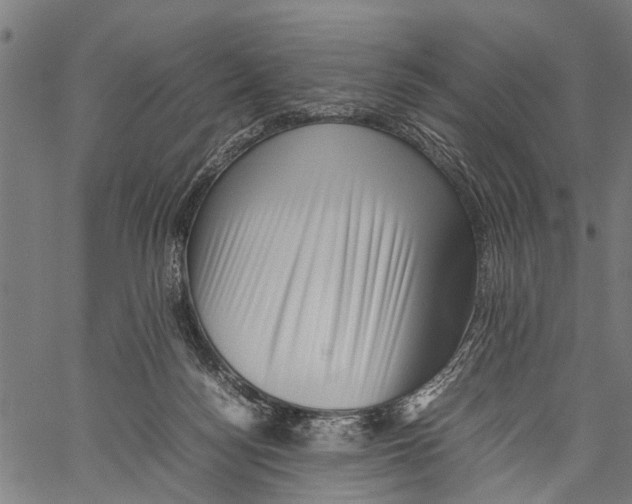 X0000062170172200601061050