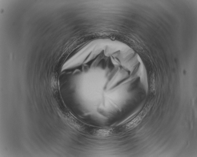 X0000062170176200601061050