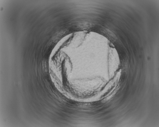 X0000062170182200601061050