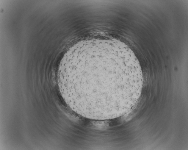 X0000062170187200601061050