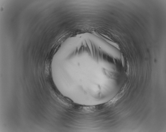 X0000062170188200601061050
