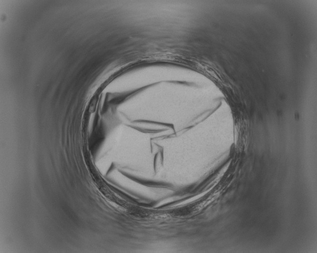 X0000062170195200601061049