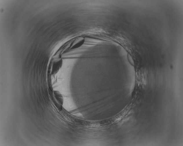 X0000062170196200601061049