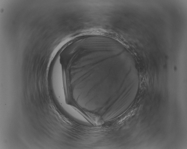 X0000062170200200601061049