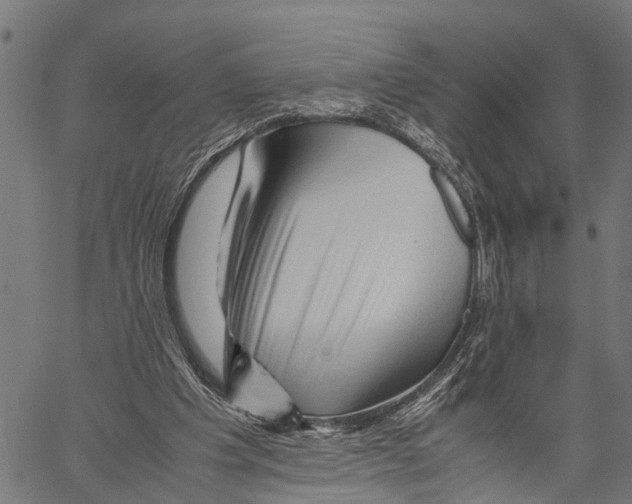 X0000062170201200601061049