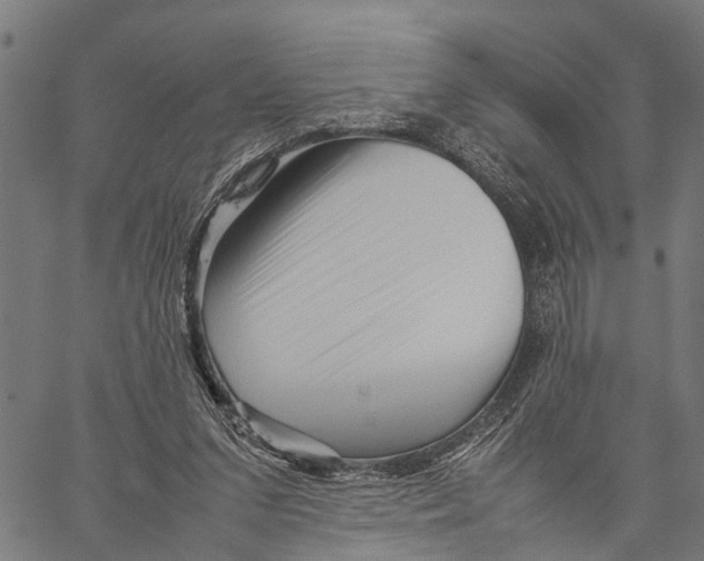 X0000062170207200601061049