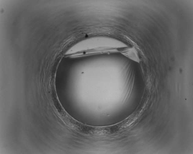 X0000062170209200601061049