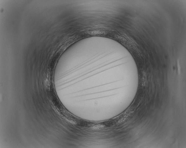 X0000062170210200601061049