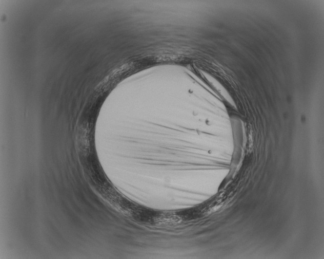 X0000062170215200601061049